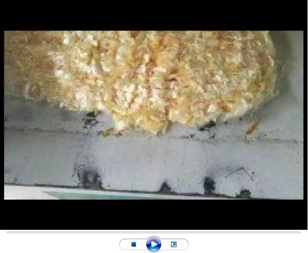 點擊查看詳細信息<br>標題：聚丙烯腈纖維生產中【視頻】 閱讀次數：2961