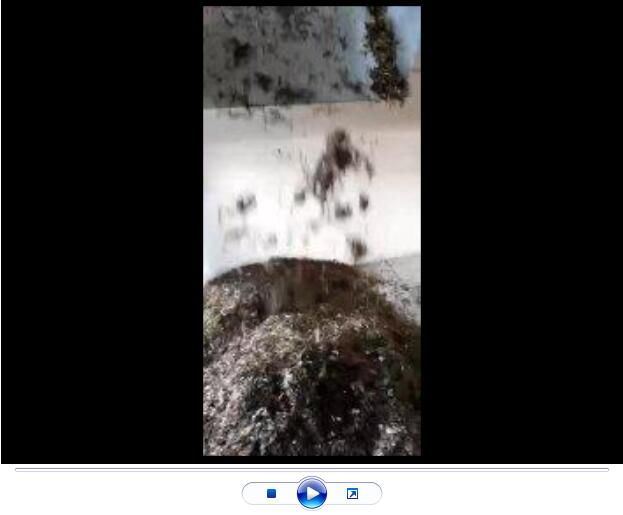 點擊查看詳細信息<br>標題：玄武巖纖維生產中【視頻】 閱讀次數：2877